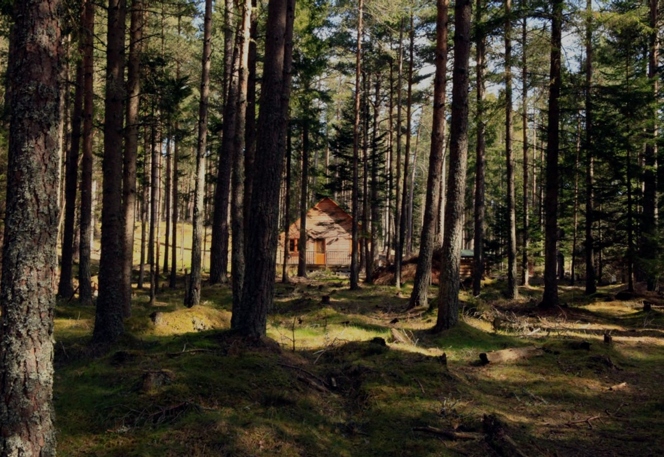 Cairngorm Lodges 