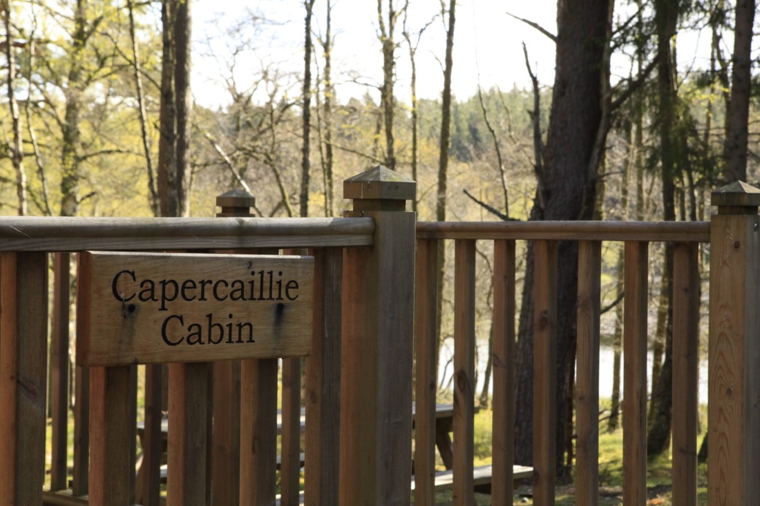 capercaillie lodge sign