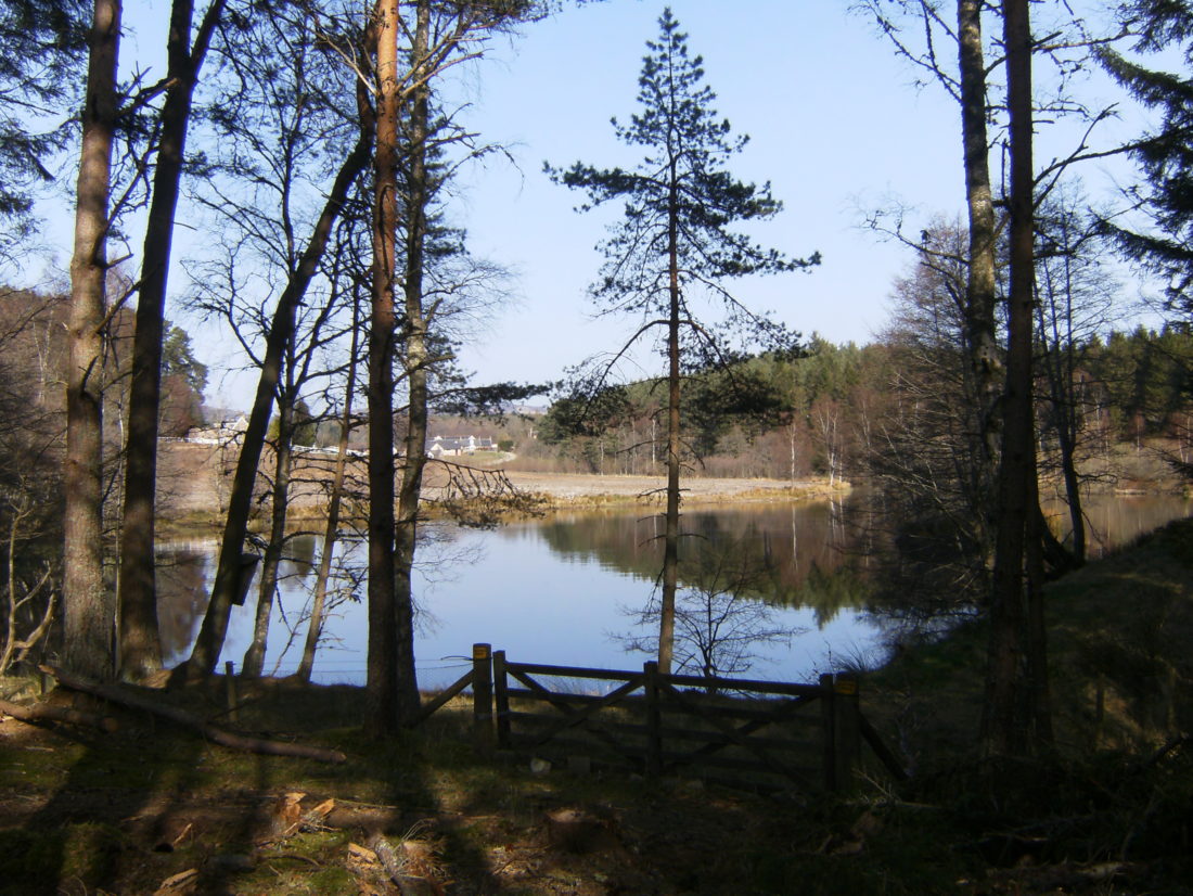 Logie coldstone loch