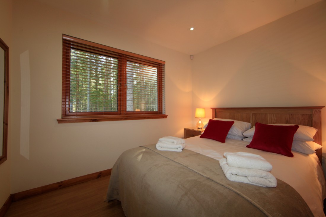 red-squirrel double room