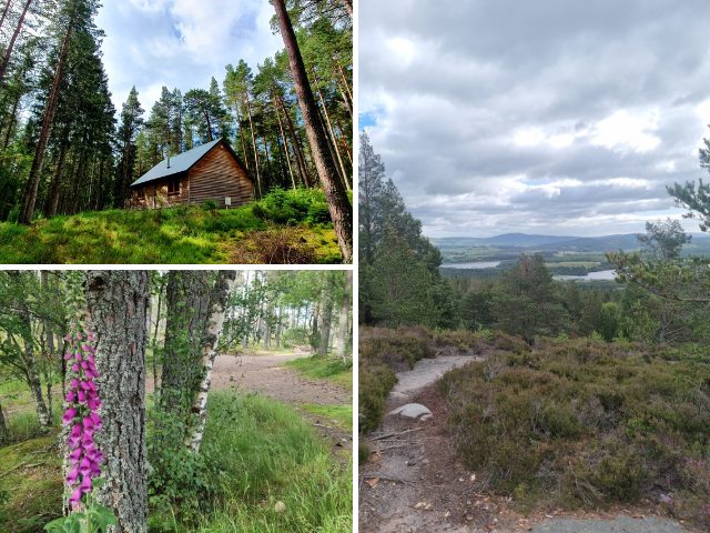 self-catering holiday in the Cairngorms